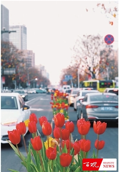 shangyu0310007_001_04_b.jpg shangyu0310007_001_04_b.jpg