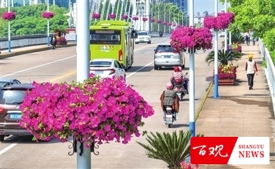 shangyu0310007_001_05_b.jpg shangyu0310007_001_05_b.jpg