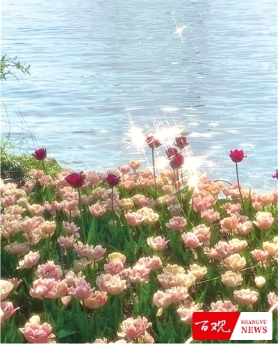 shangyu0310007_001_08_b.jpg shangyu0310007_001_08_b.jpg