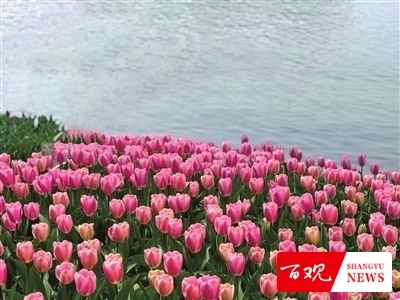 shangyu0310007_001_07_b.jpg shangyu0310007_001_07_b.jpg