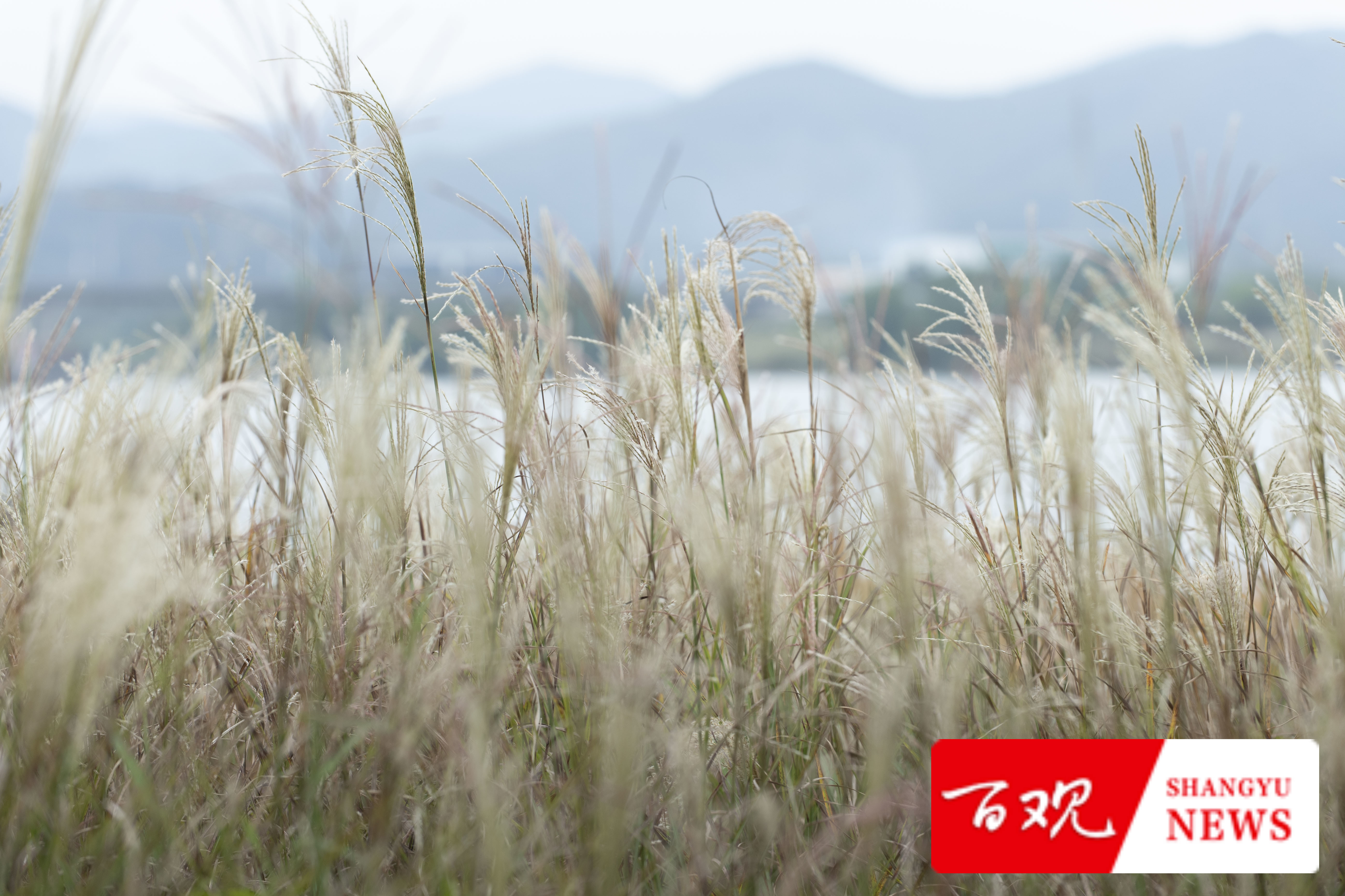 DSC_9634.jpg DSC_9634.jpg