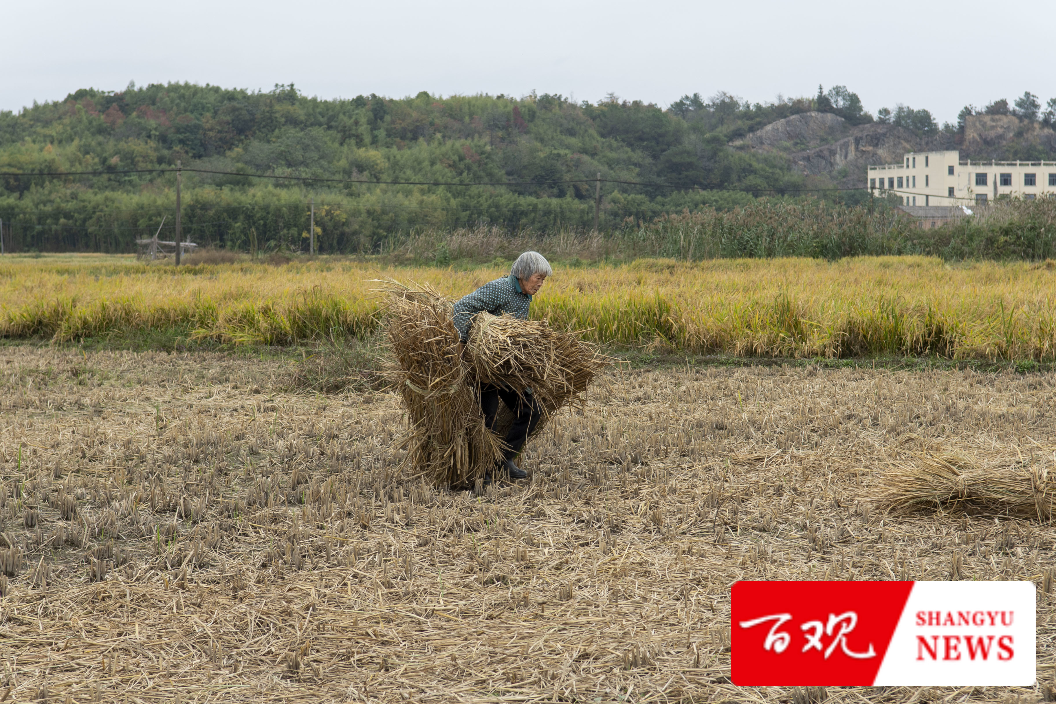 DSC_9576.jpg DSC_9576.jpg