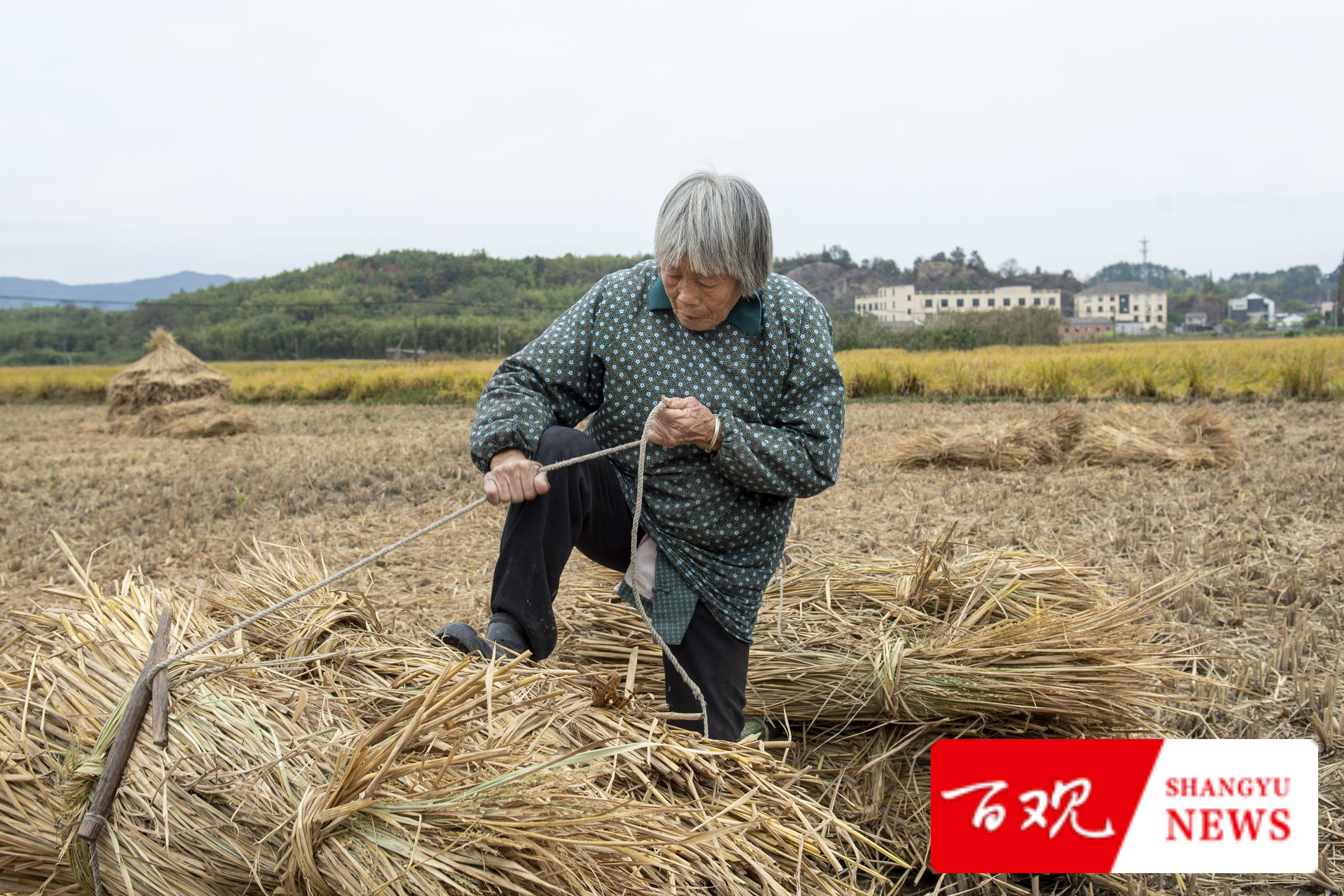 DSC_9577.jpg DSC_9577.jpg