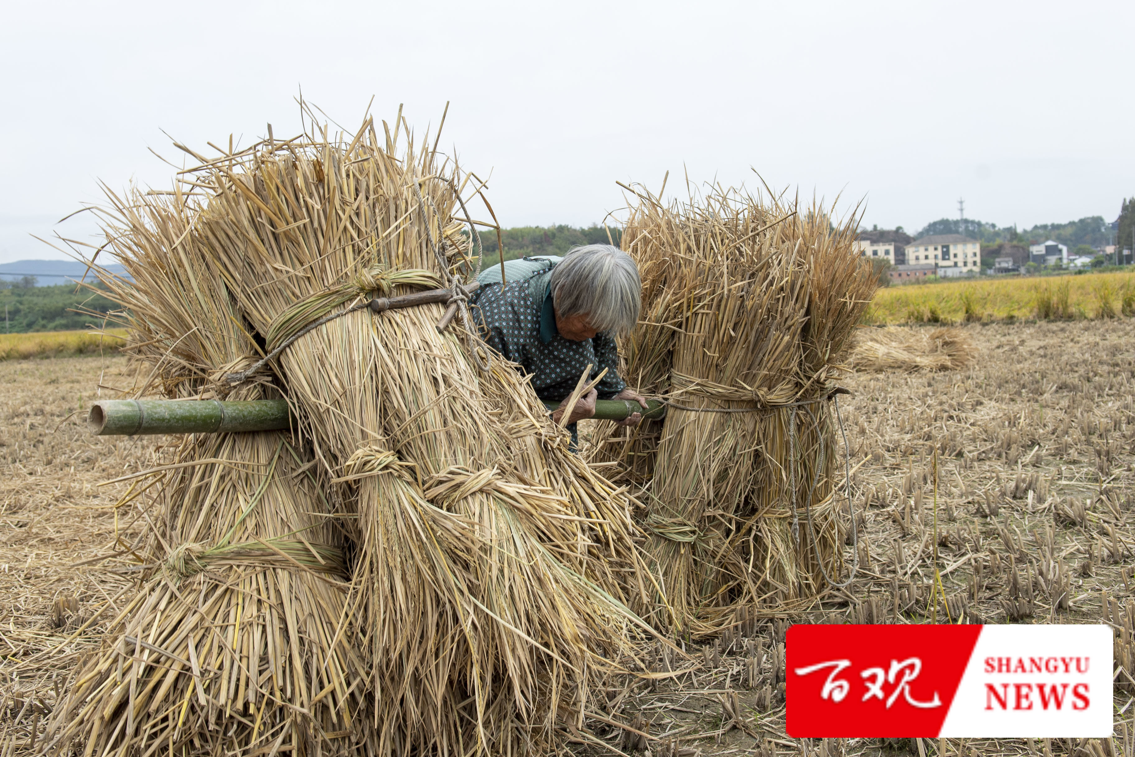 DSC_9581.jpg DSC_9581.jpg