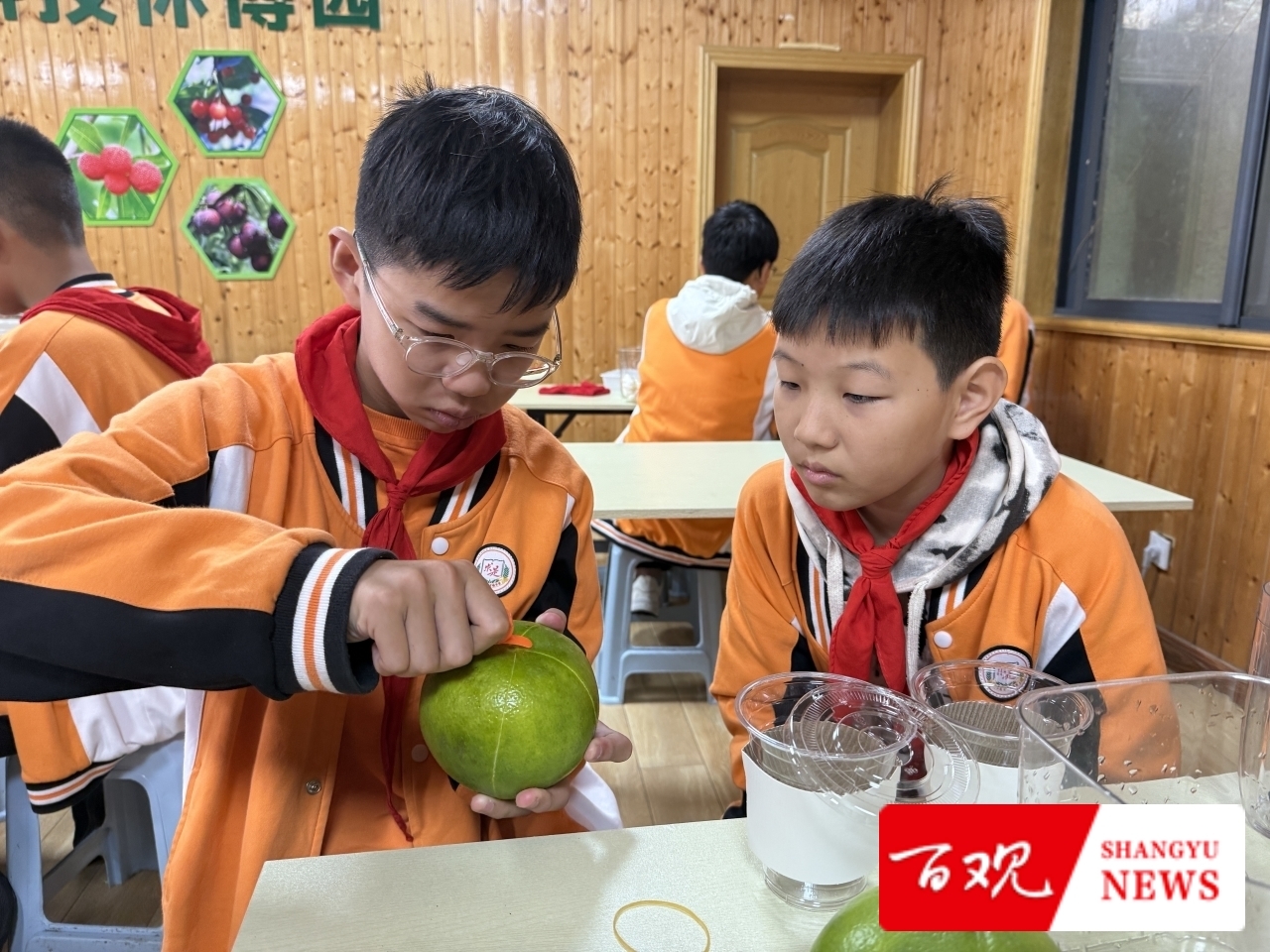 微信圖片_20251113160153.jpg 微信圖片_20251113160153.jpg