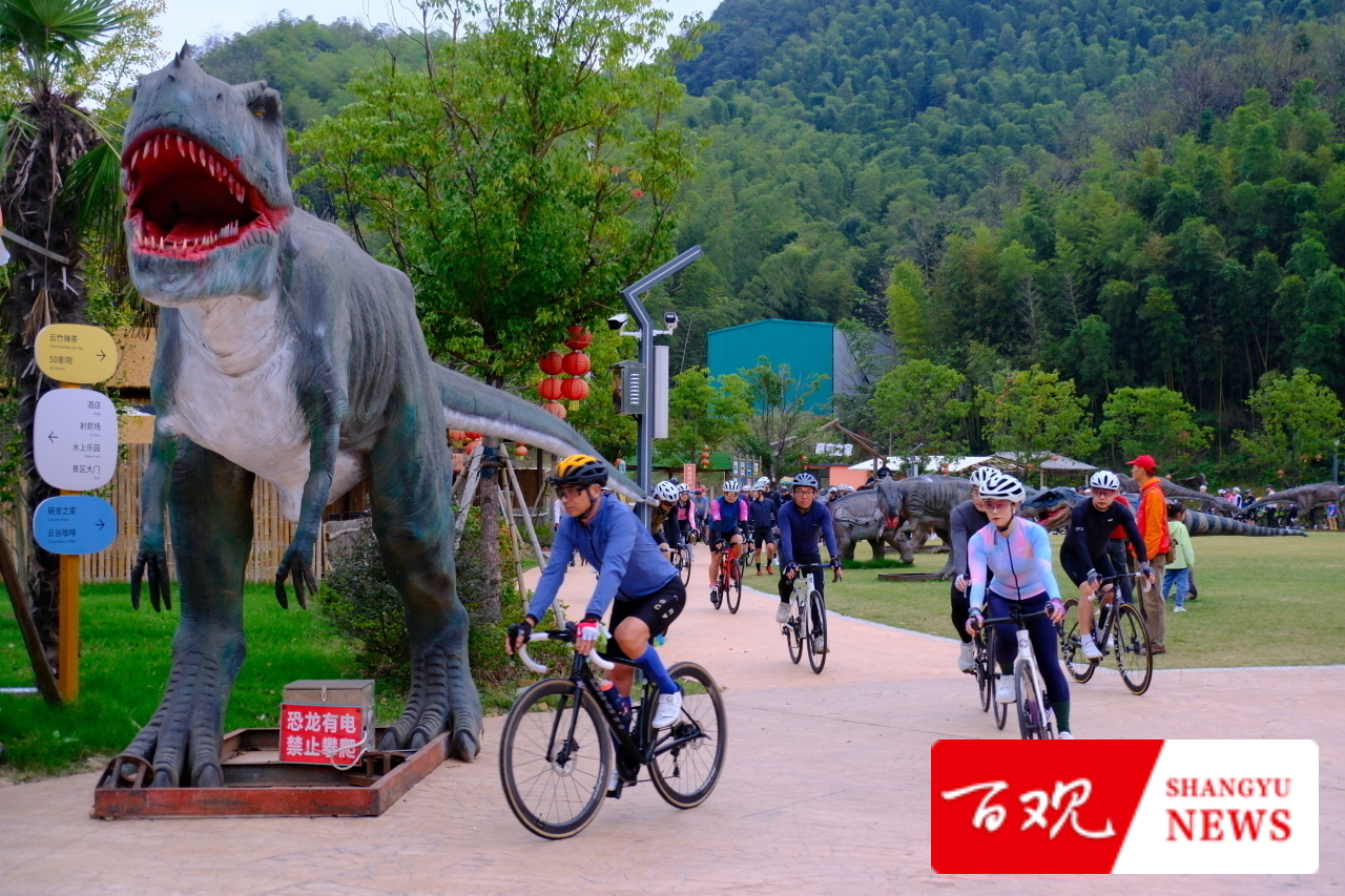 W020251026527658733062.jpg W020251026527658733062.jpg