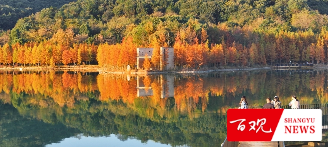 微信圖片_2025-11-24_140201_777.jpg 微信圖片_2025-11-24_140201_777.jpg